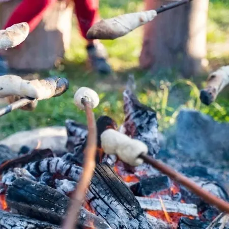 Broger Obstbaeumle Mit Pool *