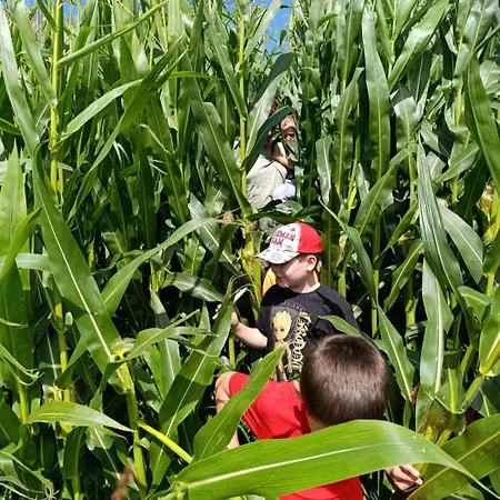 Broger Obstbaeumle Mit Pool * 诺伊基希