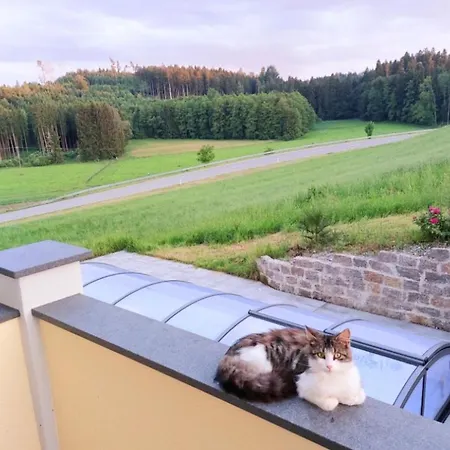 Broger Obstbaeumle Mit Pool *