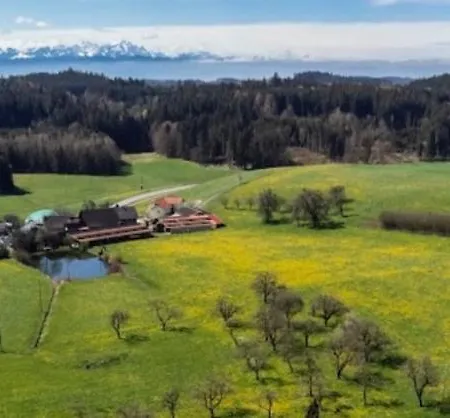 Broger Obstbaeumle Mit Pool 诺伊基希