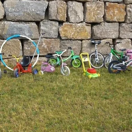 公寓 Broger Obstbaeumle Mit Pool 诺伊基希