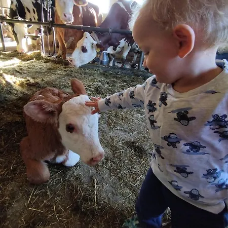 Broger Obstbaeumle Mit Pool * 诺伊基希