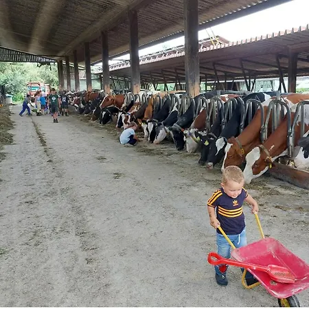 Broger Obstbaeumle Mit Pool * 诺伊基希