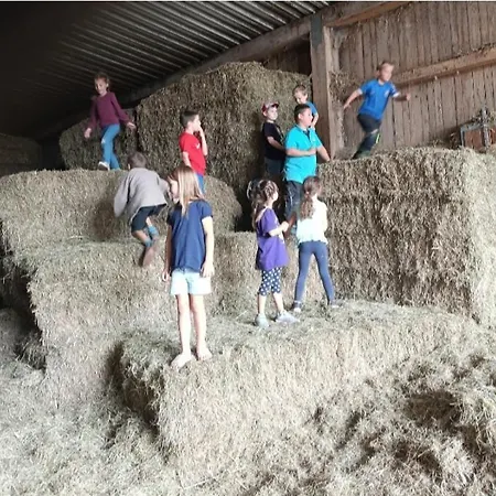 Broger Obstbaeumle Mit Pool 公寓