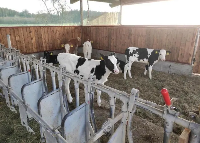 Broger Obstbaeumle Mit Pool Appartement Neukirch (Tubingen)