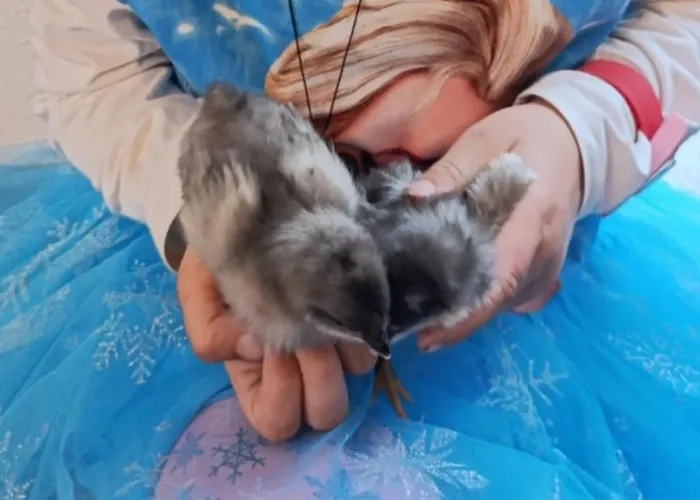 Broger Obstbaeumle Mit Pool Neukirch (Tubingen)