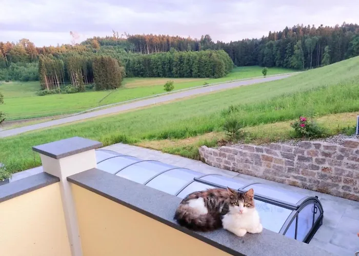 Broger Obstbaeumle Mit Pool *