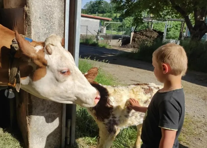 Broger Obstbaeumle Mit Pool Appartement Neukirch (Tubingen)